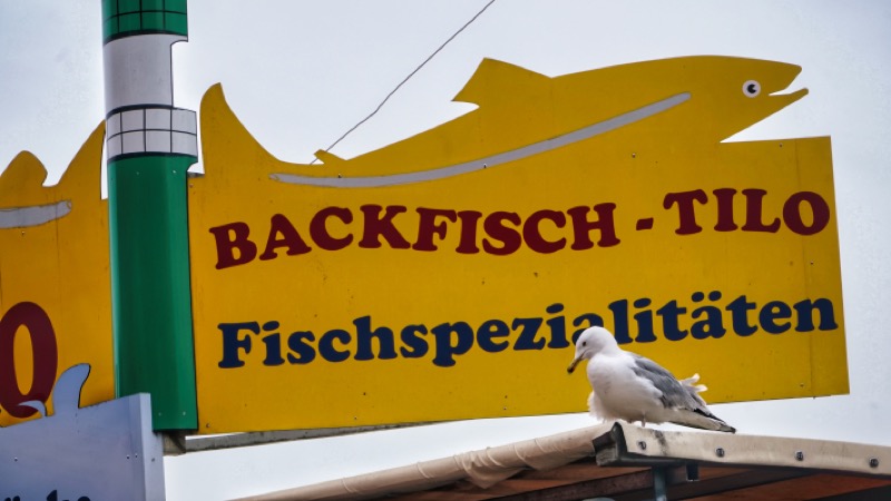Freche Möwe klaut Fisch vom Brötchen