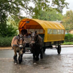 Kutschfahrt zum Darßer Ort