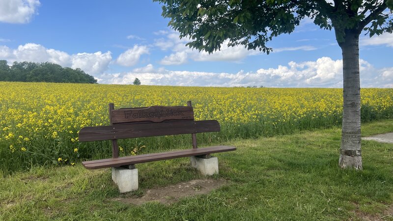 Falkenblick